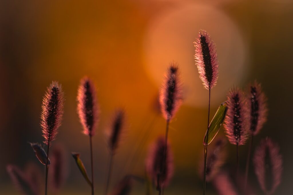 Word je gebeld door +31 33 808 04 40? Dit moet je weten