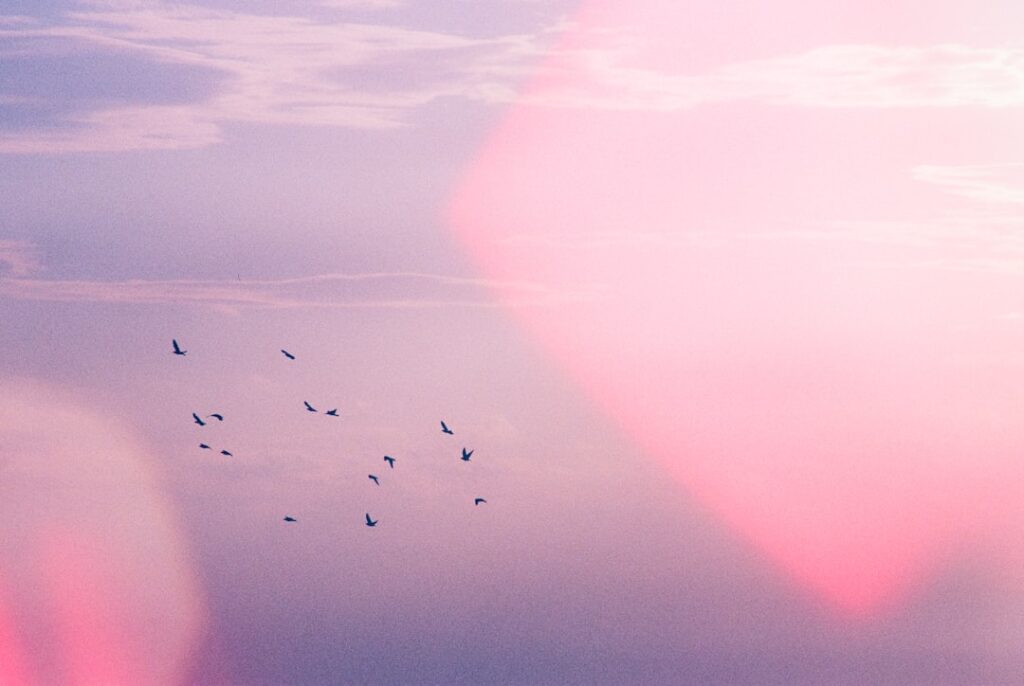 Word je gebeld door +31 33 808 04 41? Dit moet je weten